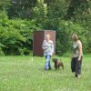 obeissance 2014-08-02